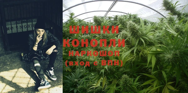мдпв Богородицк