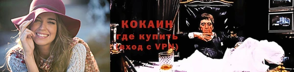 мдпв Богородицк