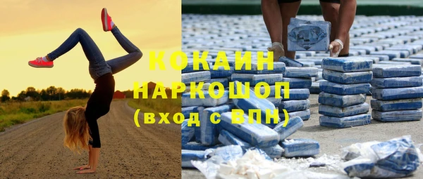 мдпв Богородицк
