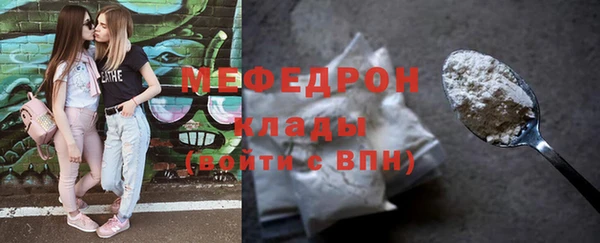 мдпв Богородицк