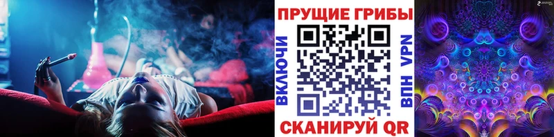 Галлюциногенные грибы Psilocybe  сколько стоит  Моздок 