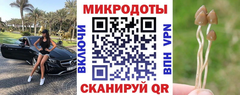 Псилоцибиновые грибы Psilocybine cubensis Моздок