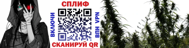 Марихуана Amnesia  Моздок 